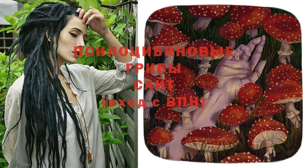 мескалин Балахна